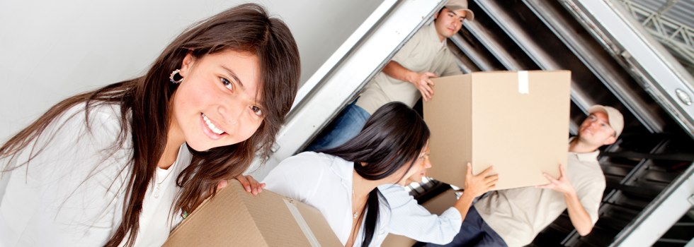 Professional Removalists The Gap QLD